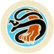 LogoAASCIcopie